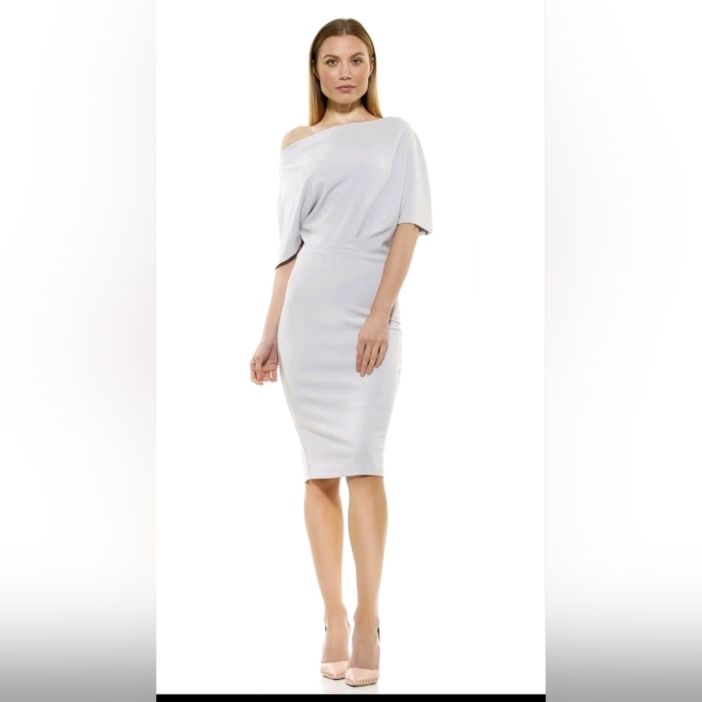 Alexia Admor Light Gray Midi Dress